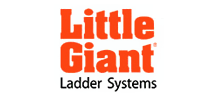 LittleGiant׶