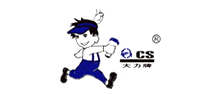 CS