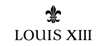 LOUISXIII·ʮ