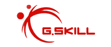 ֥G.SKILL