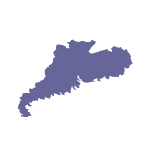 �㶫ʡ
